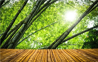 梦幻诛仙2什么职业好,游戏内职业大揭秘，梦幻诛仙谁称霸？-1