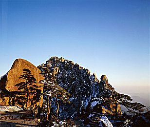 娜塔莎一家,温馨家庭，邻里佳话-1