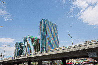 花季传媒每天免费,免费探索时光花园：每日新花卉与园艺工具等你来-2