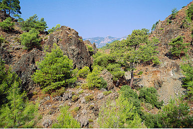 中文天堂,穿越时空，中文天堂等你探险-2