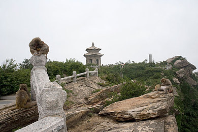 纯爱之渡,纯爱坚守，情感共鸣