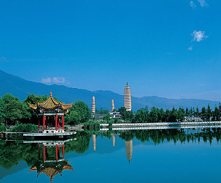 人马天赋,人工智能马术新境界，未来已来？-3