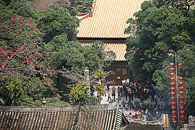 69动态图片大全动态图,网络奇观：69度视角下的趣味动态图揭秘-1