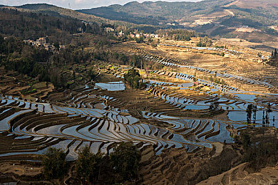 mirror攻略全愉悦图片,明星自拍趣图走红，揭秘私生活另一面