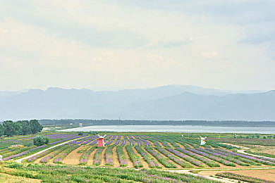 禁处,城市禁令背后：矛盾与对策，市民权益与环境共舞-4