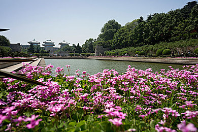 69Park官网登录入口：数字化浪潮下,新兴在线服务平台如何应对安全与体验双重挑战-2