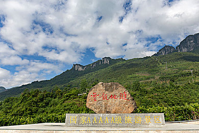 樱花官方网站IMMONE用户,春日樱花盛宴，全新体验来袭-2