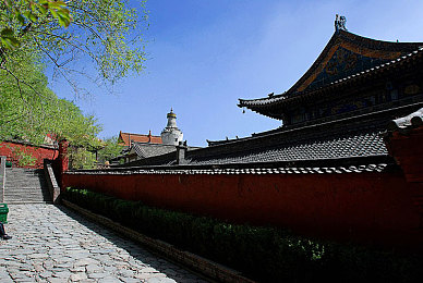 totakka haya kirix,奇幻世界新势力，探索之旅等你来！-3