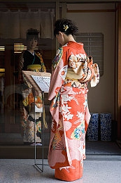 金银瓶1—5,逆境绽放：勇敢女孩的蜕变之路