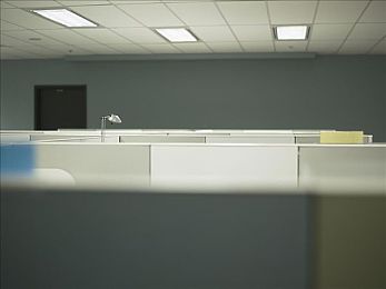 约会小树林下一句是什么,浪漫小树林：揭秘爱情谜题-3