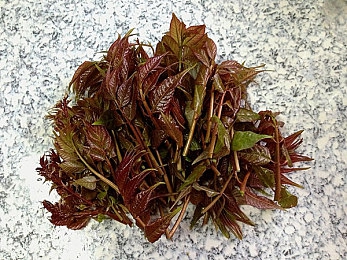 欧美粉嫩metart成人极品,视觉盛宴，奇幻冒险新宠-2