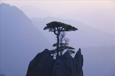 想你预告片,时空爱恋引期待，导演新作引关注-1