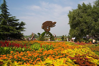 丁香花完整视频在线观看,《丁香花》经典旋律唤起永恒回忆-1