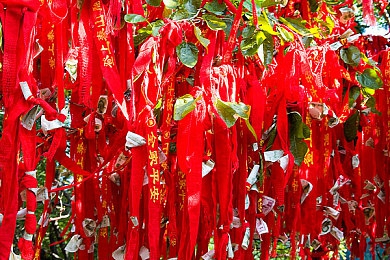 一前一后三个人轮换的,轮换工作制：企业创新模式引热议-4