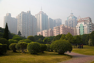 比乐可车还多有哪些,赛车世界，激情无限！-4