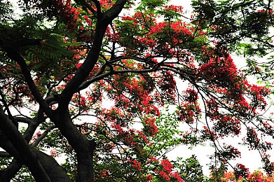 王中王最快开奖结果现场,彩票开奖揭秘：王中王公正透明引关注-2