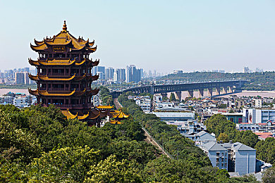 天天操天天添,无尽地下城：探索未知，挑战极限的Roguelike冒险-2