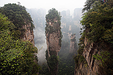 我师门迟早要完 一碗叉烧,传承危机？叉烧餐厅成烹饪技艺新阵地-3