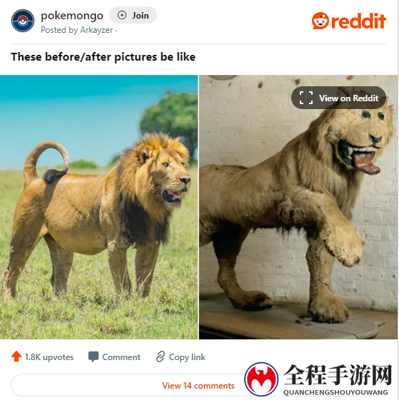 《宝可梦 GO》捏人改动过于正确 遭玩家晒图集体抗议