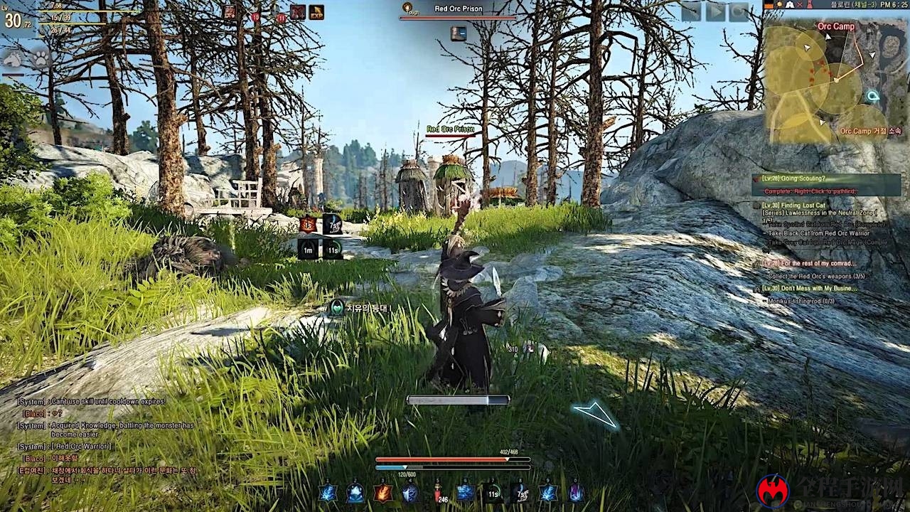 《黑色沙漠》Xbox One版发售日确定 终极版100美元