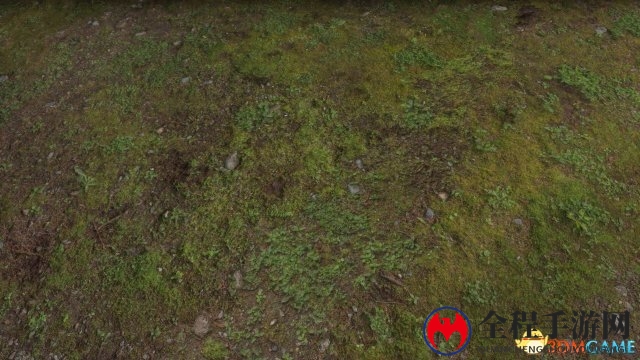 《上古卷轴5》新MOD加入逼真超清地面材质贴图