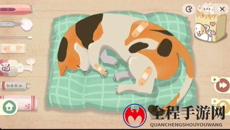 收纳物语救助喵喵通关攻略5