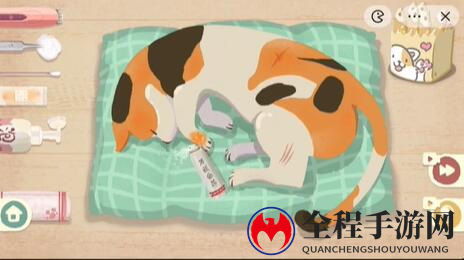 收纳物语救助喵喵通关攻略4