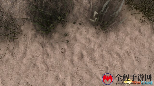 《上古卷轴5》新MOD加入逼真超清地面材质贴图