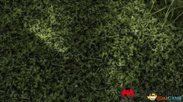 《上古卷轴5》新MOD加入逼真超清地面材质贴图