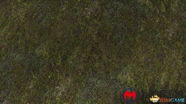 《上古卷轴5》新MOD加入逼真超清地面材质贴图
