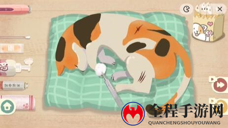 收纳物语救助喵喵通关攻略3