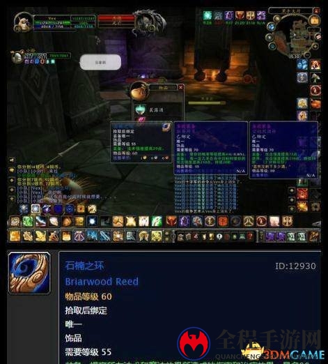 忆往昔青春岁月 《魔兽世界》60年代经典饰品回顾