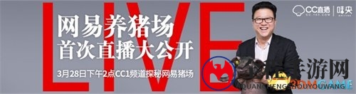 《丁磊七年来首揭猪场面》逗号CC直播，探秘养猪达人